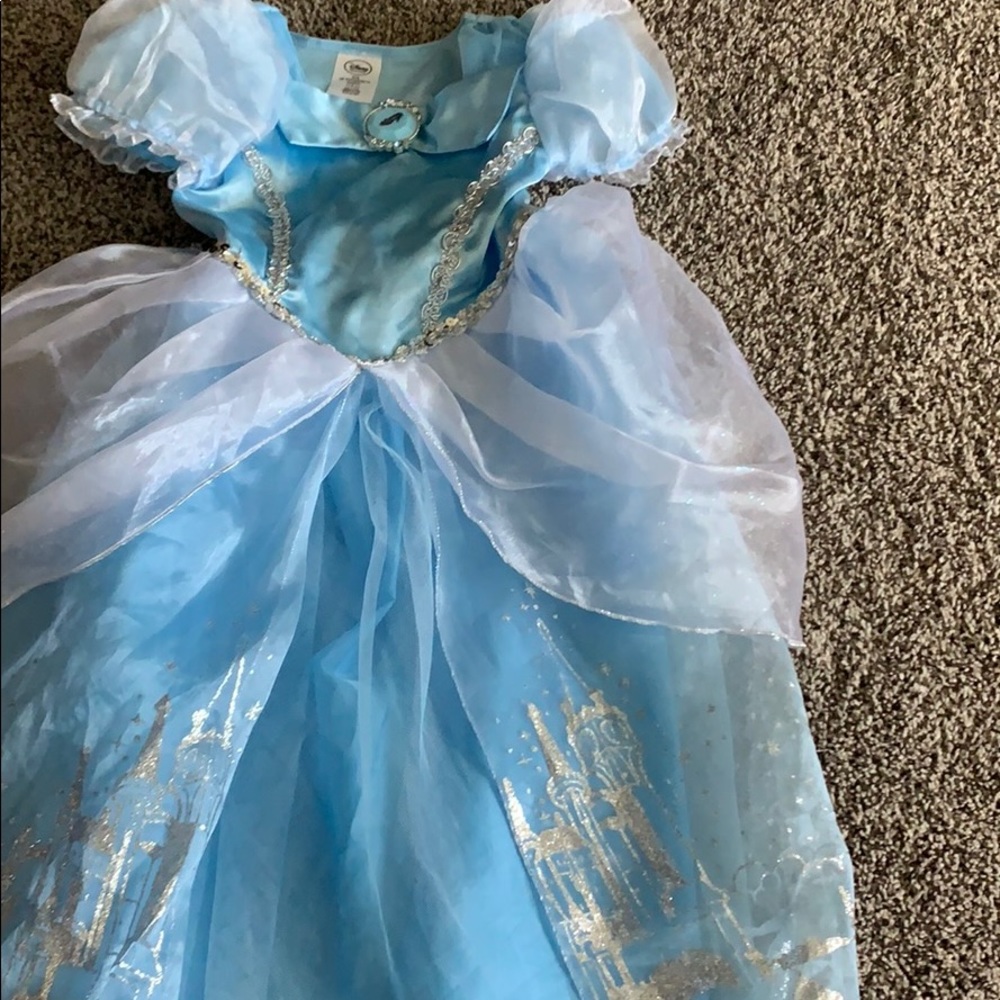 Cinderella Halloween costume